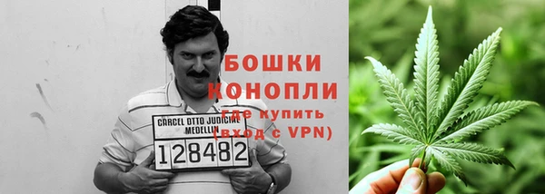 шишки Баксан