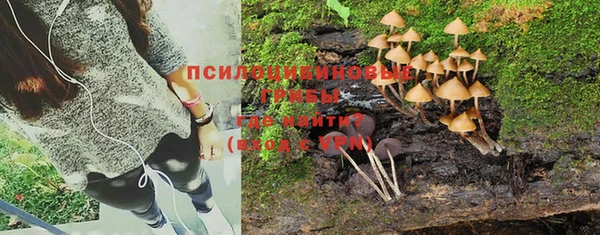 шишки Баксан