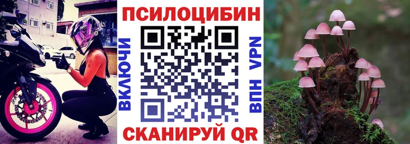 Псилоцибиновые грибы мицелий Олёкминск